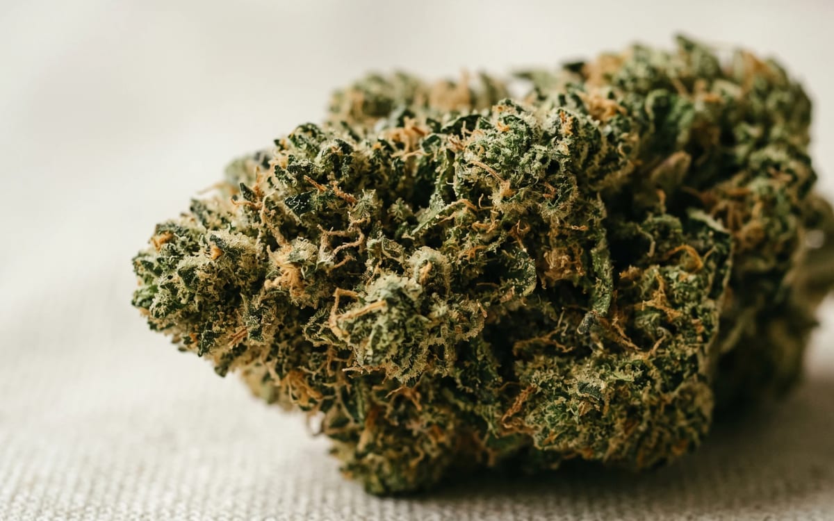 Scales of justice representing Michigan cannabis laws